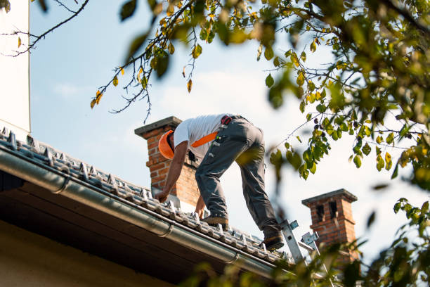 Best Storm Damage Roof Repair  in Schoolcraft, MI