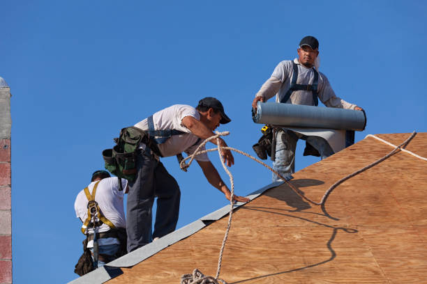 Best Roof Maintenance Services  in Schoolcraft, MI